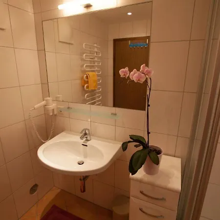 Quaint In With Garden Ramsau am Dachstein