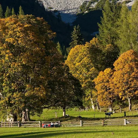 Quaint In With Garden * Ramsau am Dachstein