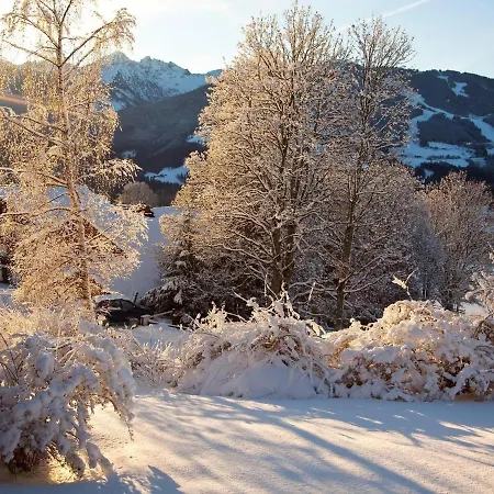 Quaint In With Garden * Ramsau am Dachstein