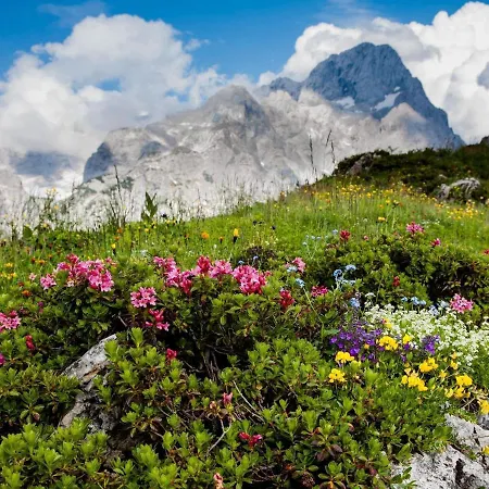 Quaint In With Garden Apartment Ramsau am Dachstein